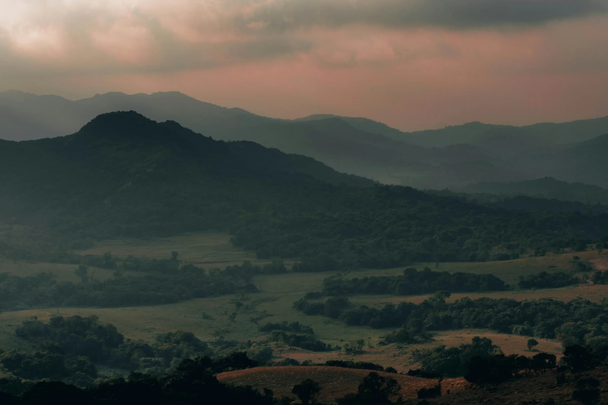 Forested hills and open fields in Coorg at sunset