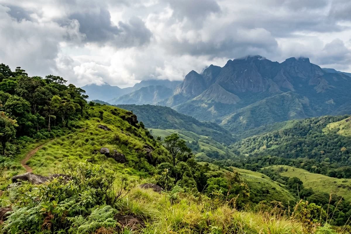 Forest-edge highlands and scenic nature land in Western Ghats